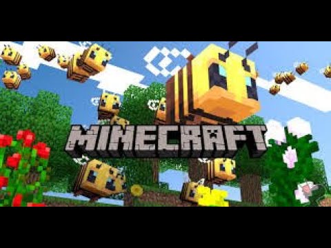 MINECRAFT ჩემი სახლიი!