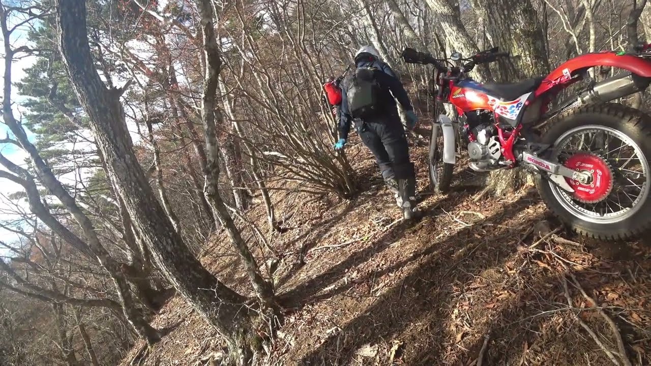 お山はいい天気。やっぱりTLがいいぞ！年寄りには？