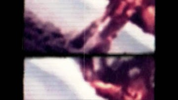 orientation video .032 stf_1218.mov