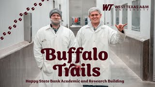 Buffalo Trails: Happy State Bank Academic and Research Building