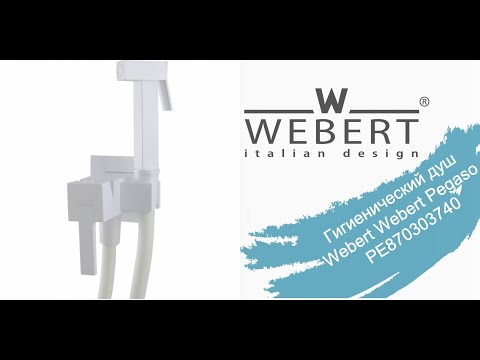 Гигиенический душ со смесителем Webert Pegaso PE870303740 обзор и монтаж