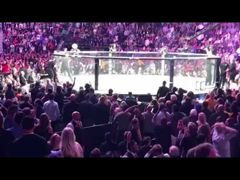 UFC 229 McGregor Khabib SCARY BRAWL, ALL ANGLES Crowd/Octagon