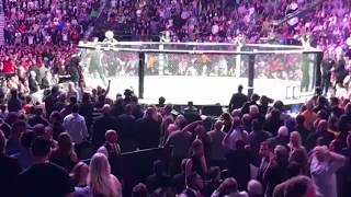 UFC 229 McGregor Khabib SCARY BRAWL, ALL ANGLES Crowd/Octagon