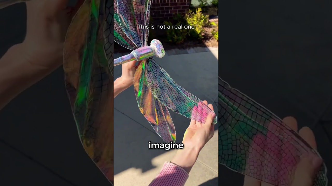 9 Mind-Blowing Facts You Didn’t Know About Dragonflies 