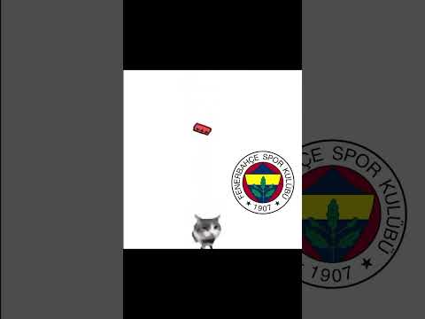 fener ahlama