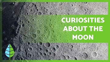 Why does the moon have CRATERS 🌑 CURIOSITIES about the MOON