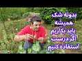 کاشتن خشخاش به مرحله آخر رسیدم و برداشت محصول از باغچه