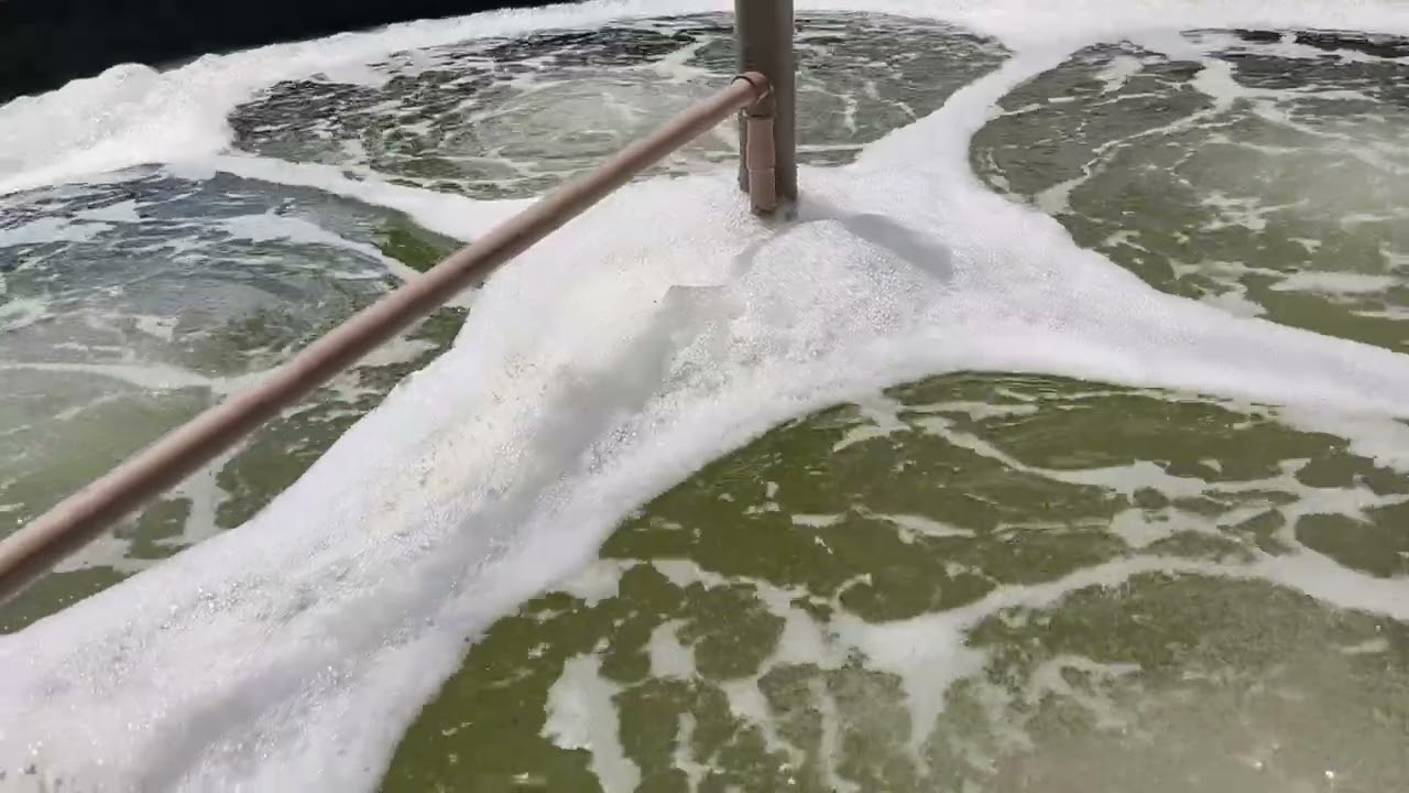 Estrutura da Piscicultura para criaçao de peixes