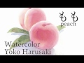 Harusaki Yoko［Peach］ How to draw watercolor　桃の描き方　水彩画　３原色で描く　Watercolor painting with three colors