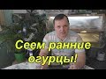 Три хороших гибрида  огурцов для раннего выращивания!