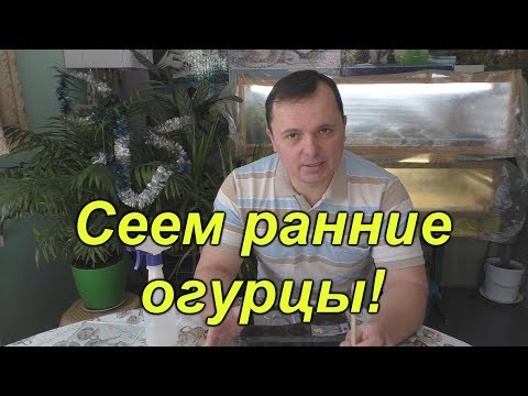 Бейне: Бланкілер скрабблда ұпайға тұрарлық па?