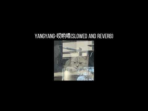 YangYang-哎哟喂(𝐬𝐥𝐨𝐰𝐞𝐝 𝐚𝐧𝐝 𝐫𝐞𝐯𝐞𝐫𝐛) x0.8