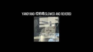 YangYang-哎哟喂(𝐬𝐥𝐨𝐰𝐞𝐝 𝐚𝐧𝐝 𝐫𝐞𝐯𝐞𝐫𝐛) x0.8