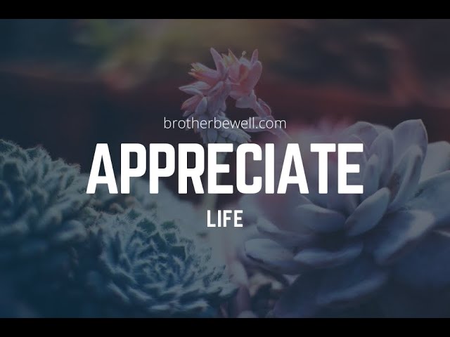 Appreciate Life