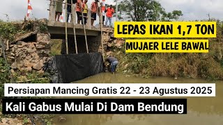 Download Lagu persiapan mancing gratis di kali gabus tambun bekasi, kali mulai di bendung \u0026 lepas ikan 1,7 ton MP3 Download Lagu persiapan mancing gratis di kali gabus tambun bekasi, kali mulai di bendung \u0026 lepas ikan 1,7 ton MP3