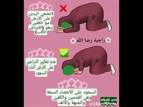 عدم تمكين الذراعين اثناء السجود في الصلاة