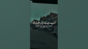 سورة الفيل من القران الكريم #قرآن #قران_كريم #ايات_قرانيه_قصيره