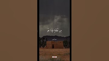 من سورة يس _شيخ القراء الشيخ سيد سعيد ❤️#quran  #المصحف #المصحف #تيك_توك #اكسبلور  #راحة_نفسية