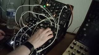 Make Noise Strega Feedback Drones