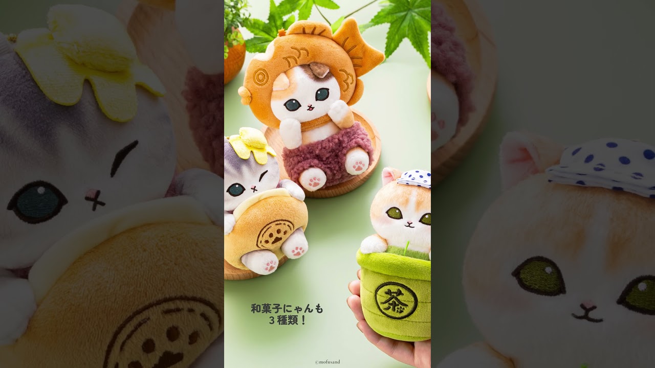 和菓子だいすき♡柴犬さん もふさん堂の和菓子にゃんと柴犬にゃんが登場🍵 - YouTube