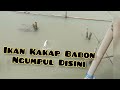 SERUNYA MANCING KAKAP PUTIH BABON DI RUMPON MELAKASARI