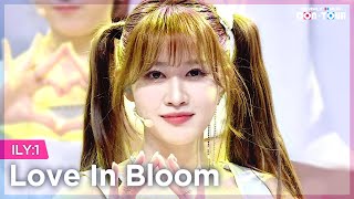 [Simply K-Pop CON-TOUR] ILY:1 (아일리원) - Love In Bloom (사랑아, 피어라) _ Ep.516