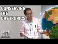 Toby Pennington: The dry tropics – science, conservation and restoration