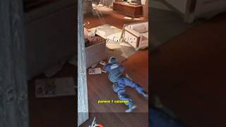 Modo calango… #twitchtvgaming #fortnite #funnyclips #r6clips #rainbow6siege