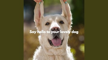 Elegant Backdrops for Forgetting Mirrors