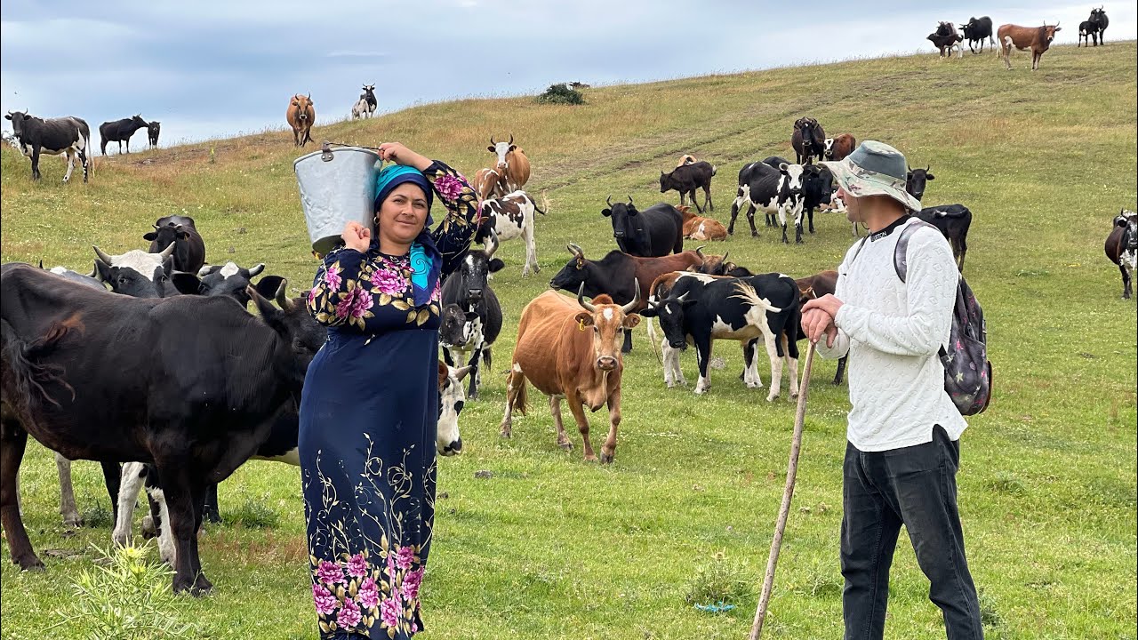 Amazing Summer: Making Traditional Butter & Bringing Leaves for the Calf