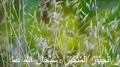 سورة الأحزاب  تلاوة مباركة من الآية 63 إلى الآية 73  بصوت القارئ الشيخ سعيد بن عبد الله الخطيب