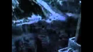 insting dendam.wmv