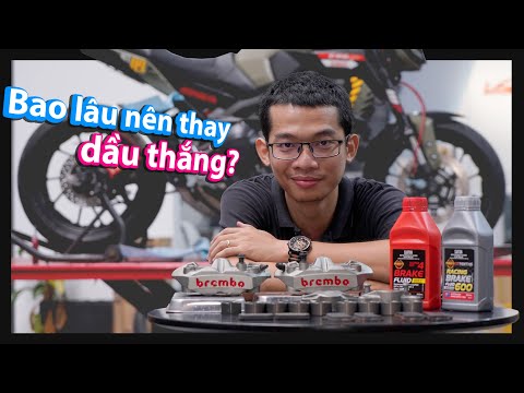 Video: Tôi nên sử dụng dầu phanh nào cho BMW?