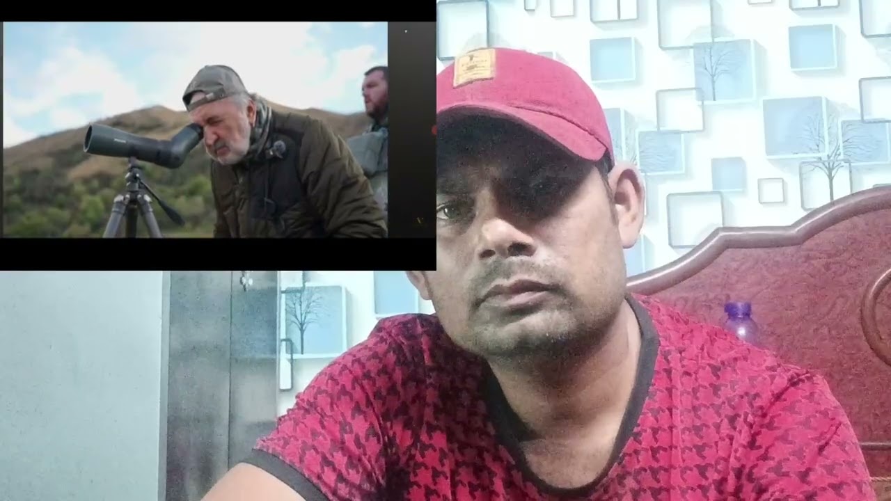 Newzealand red deer stage hunting tips with my gun