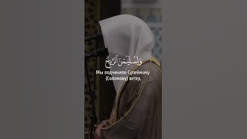 سورة سبأ / القارئ ناصر القطامي 🤍.