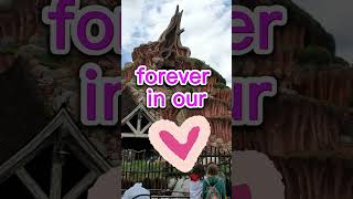 thanks for the memories splash mountain disneyland we will miss you