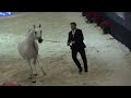 Memories of paris  world arabian horse championships 2022  part 15  championship  senior female