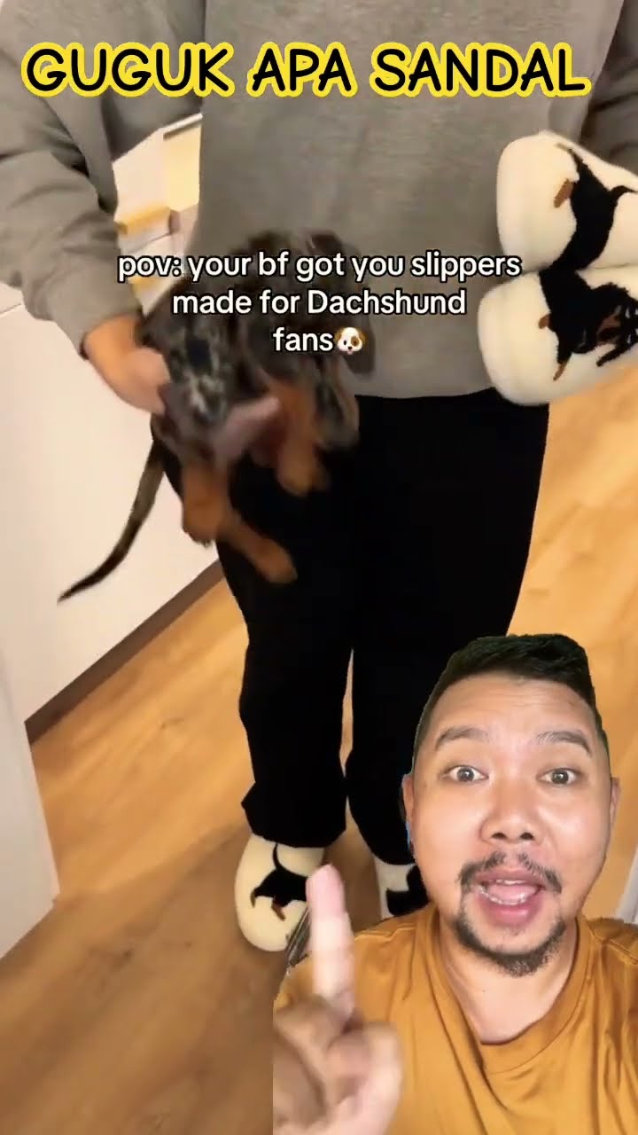 PILIH GUGUK APA SANDAL!!!?? #shoes #shortsfeed #shorts #shortsvideo
