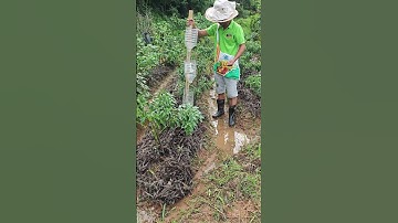 Drum fertilization system – allows fertilizer to reach the roots of the plant