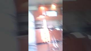 Я хочу щенка!!! Я хочу щенка!!!