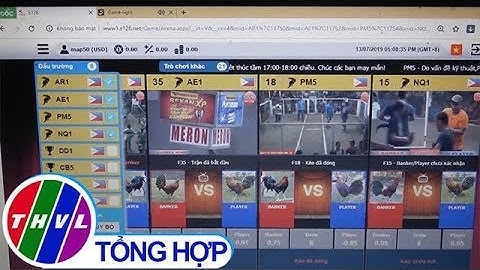THVL | Vĩnh Long: Bắt quả tang 13 con bạc đá gà qua mạng internet
