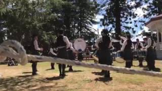 Paeroa Tattoo Contest - Medley