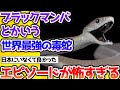 【2ch動物スレ】世界最強の毒蛇「ブラックマンバ」のエピソードが怖すぎる【なんj】 #生き物 #2ch #動物 #2ch面白いスレ