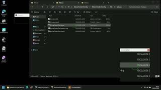 Zoom on Screen | Mouse Location Size Amplifier | Program | Life screenshot 5