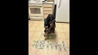 Robbo Murda - piss me off