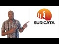 Project 31 - Configuring Suricata IDS/IPS for Cyber Defense