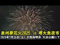 泉州夢花火2025 in 堺大魚夜市 (花火大会の模様)