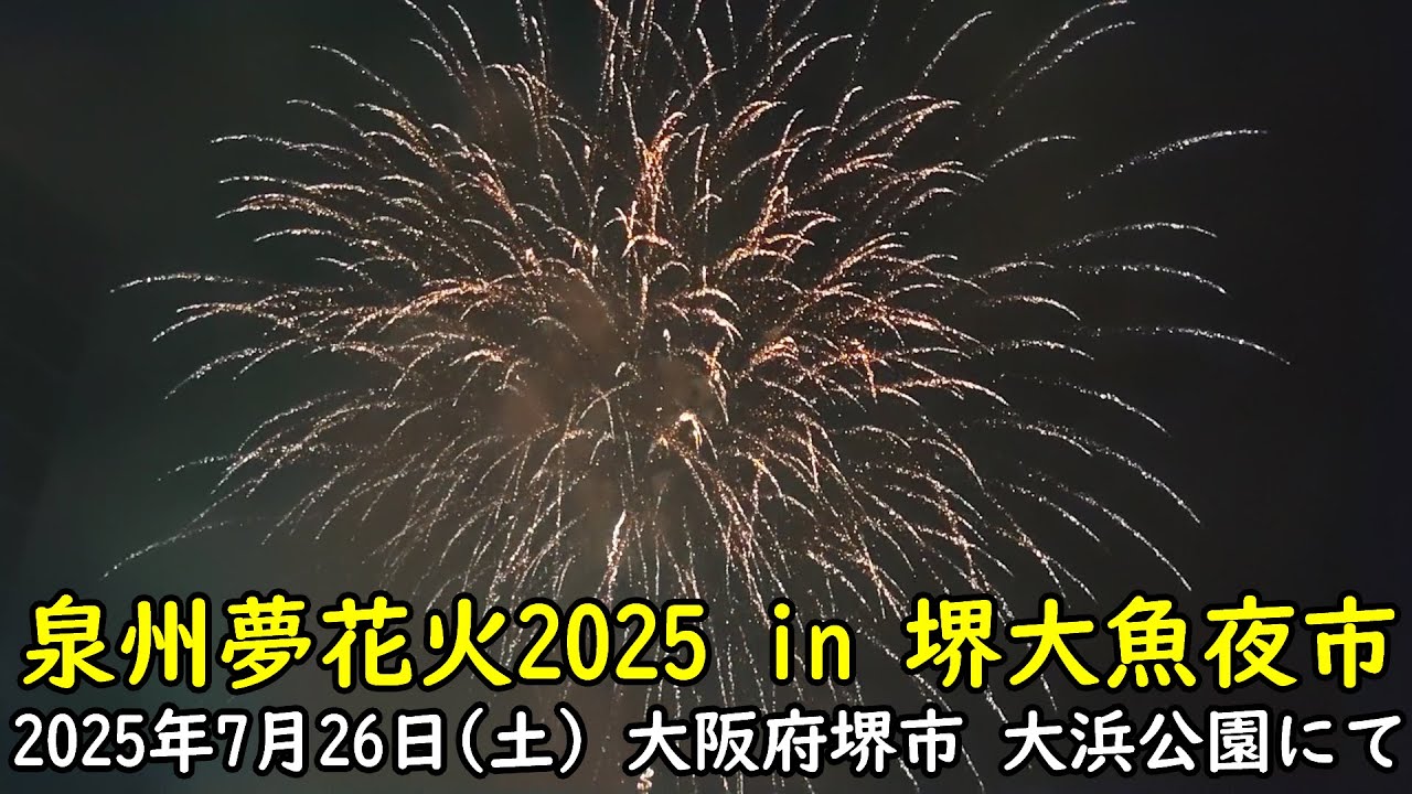 泉州夢花火2025 in 堺大魚夜市 (花火大会の模様)