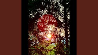 Eclipse (Extended Version)