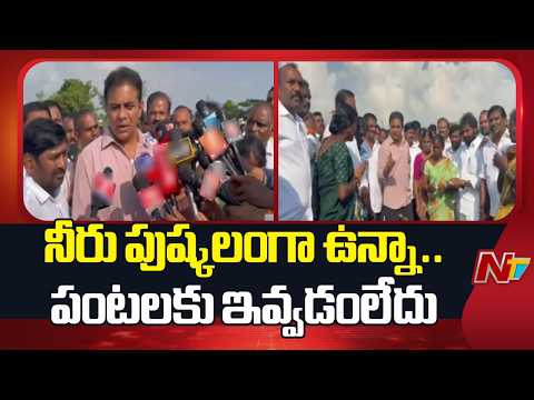 KTR Inspects Damaged Cotton and Maize Crops in Nagarkurnool | NTV Telugu - NTVTELUGU